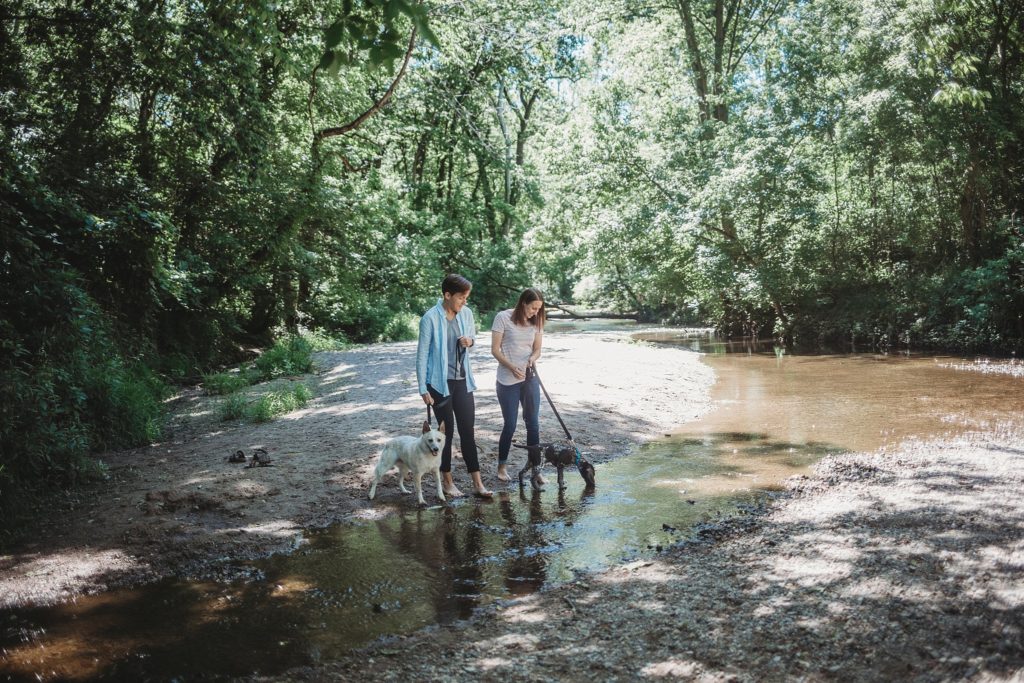 LGBTQ couple walking their dogs through the water at their Lafayette, Indiana couples session 