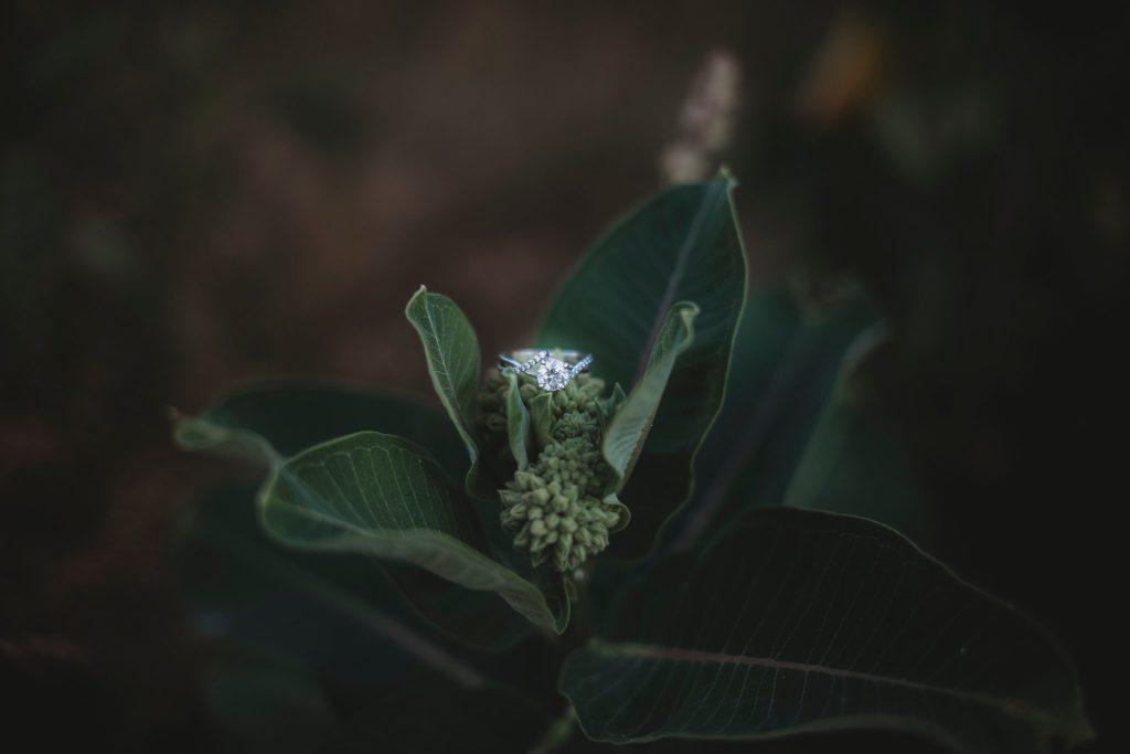Woman's engagement ring on a milkweed at the Fairfield Lakes Engagement Session in Lafayette Indiana 