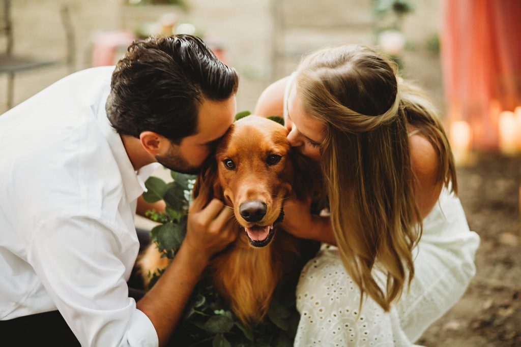 man and woman kissing dogs head during their Indianapolis Indiana Anniversary Session