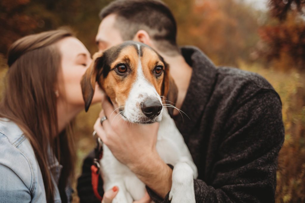man and woman kiss while their dog looks off into the distance