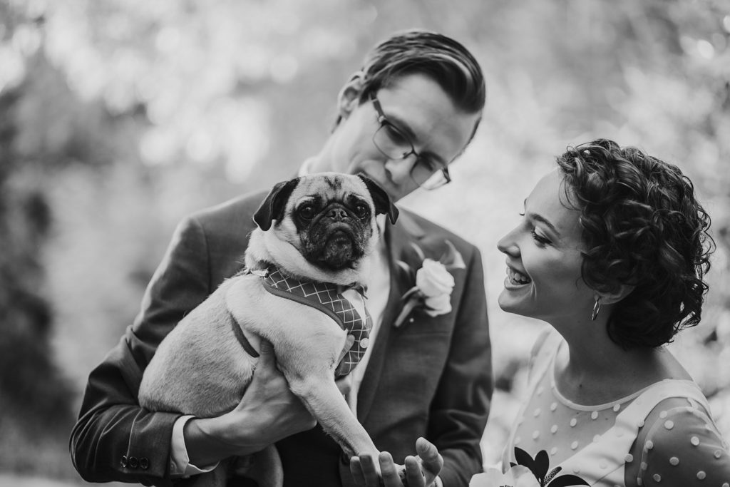couple embraces their pug for elopement pictures 
