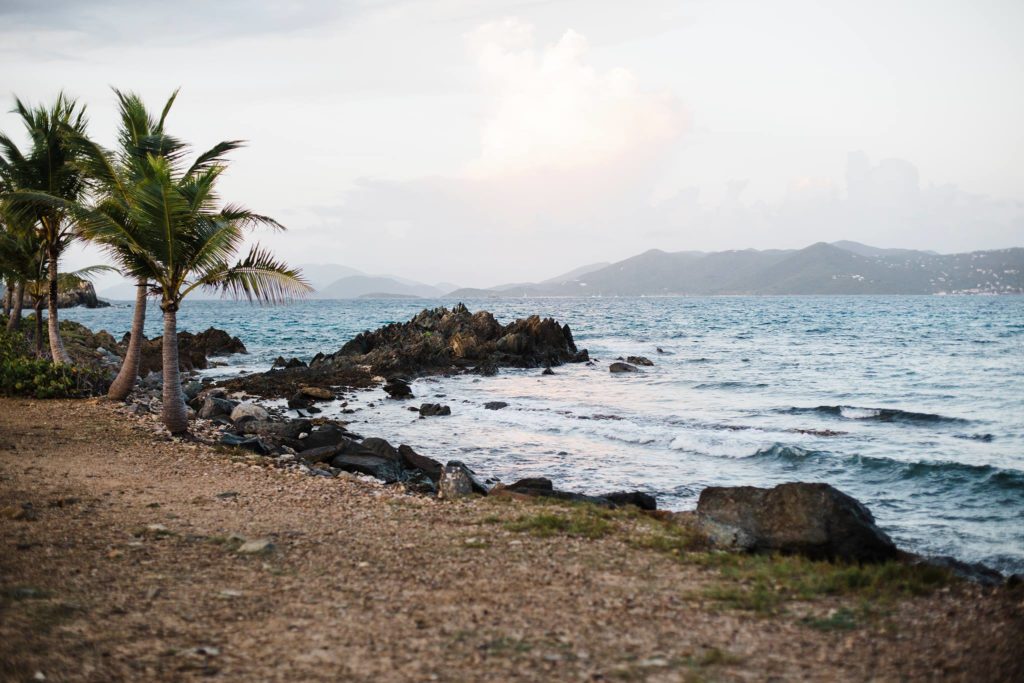 LGBTQ+ Friendly Honeymoon Destinations- Beach waves crashing in on land with palm trees in St. Thomas, Virgin Islands