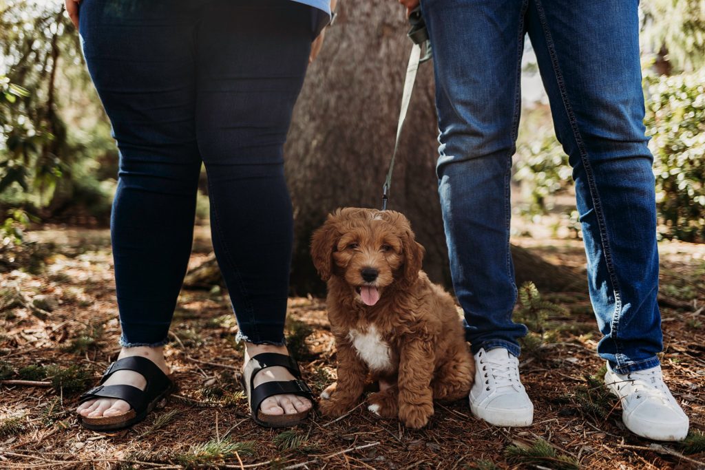 puppy sitting between the couples feet while on a leash in the woods