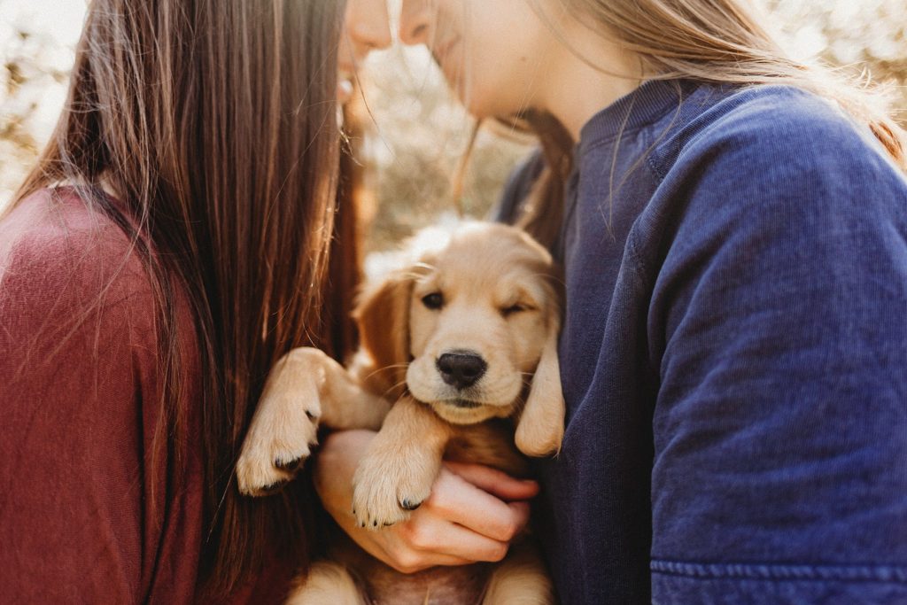 girl in red shirt holding girl in blue while holding puppy in arms gazing at each other.