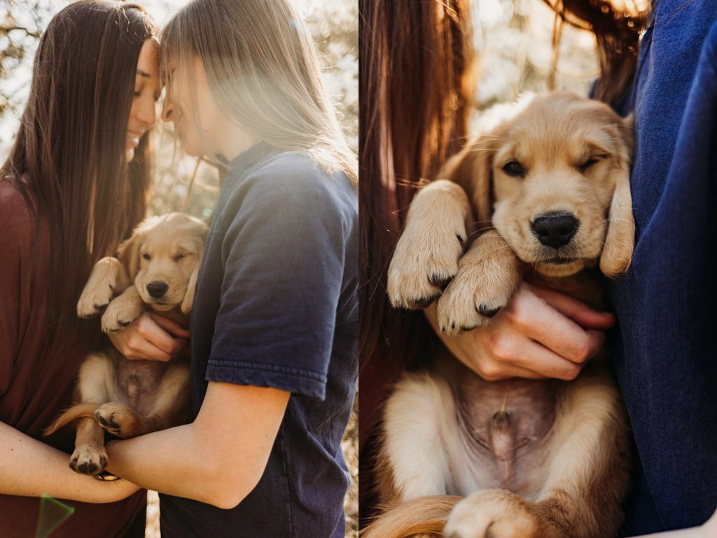 couple holding puppy in arms gazing at each other with foreheads touching.
