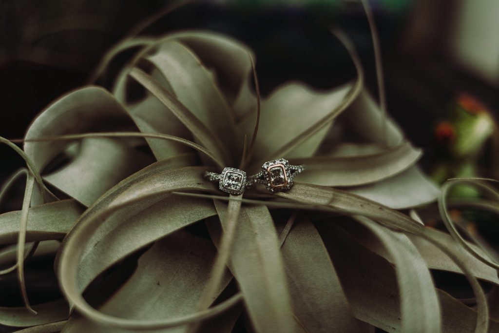 two engagement rings sitting in the middle of a green plant