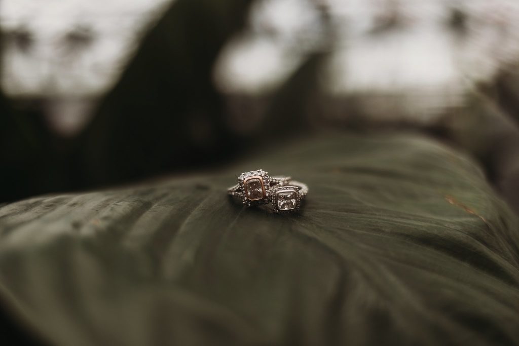 two engagement rings sitting on a green leaf