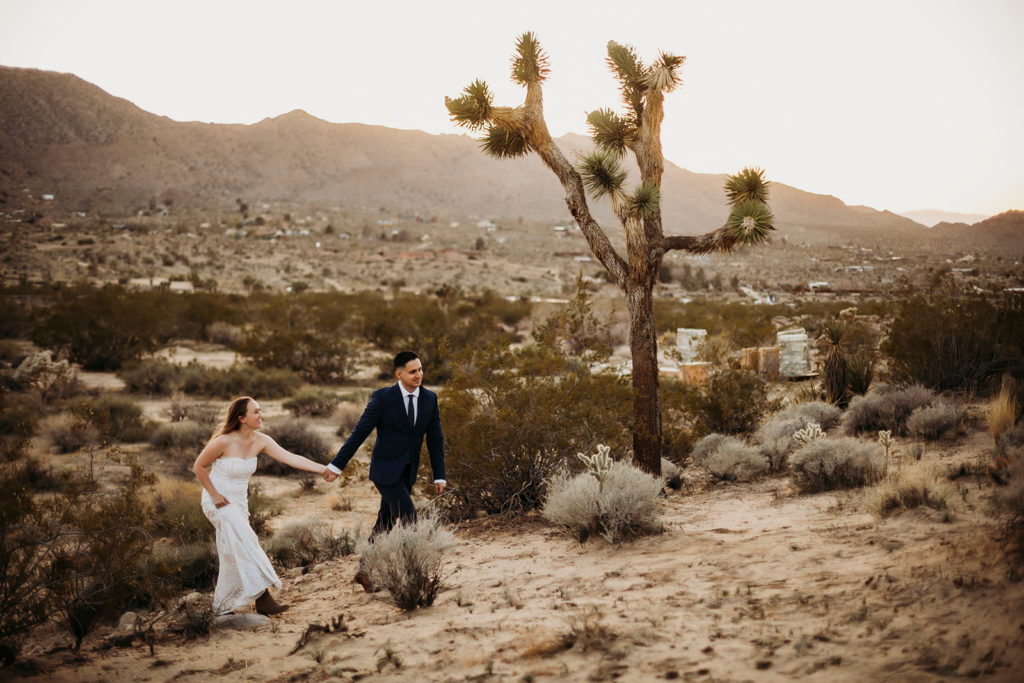 couple holding hands walking in front of joshua trees at their california elopement